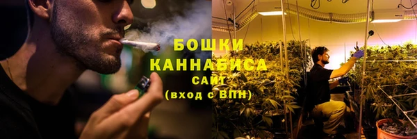шишки Абинск