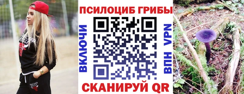 Псилоцибиновые грибы прущие грибы блэк спрут маркетплейс Катайск
